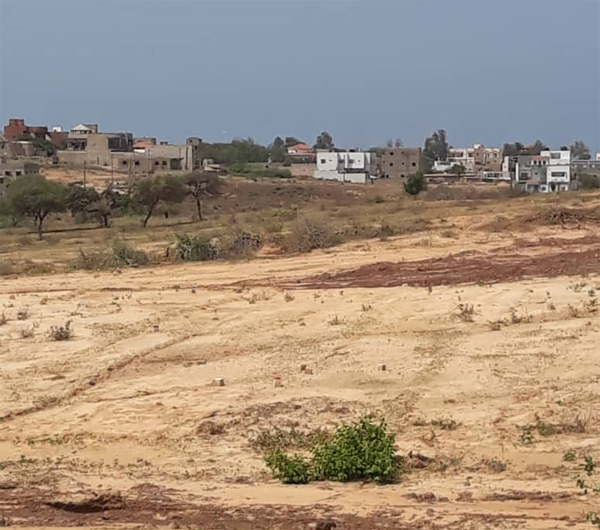 Suspension des compétences foncières des maires : une menace pour la gouvernance locale au Sénégal