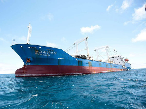 Coût de la pêche illicite : 150 milliards F Cfa de pertes par an !