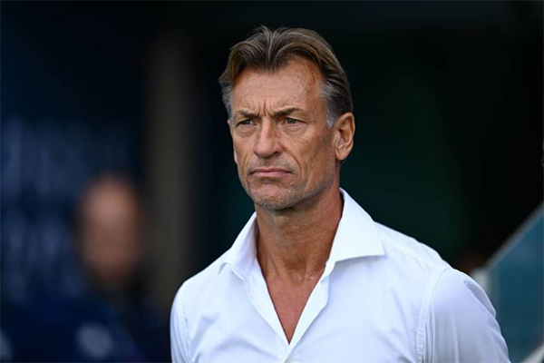 Saudi Pro League : Deux clubs en pince pour Hervé Renard