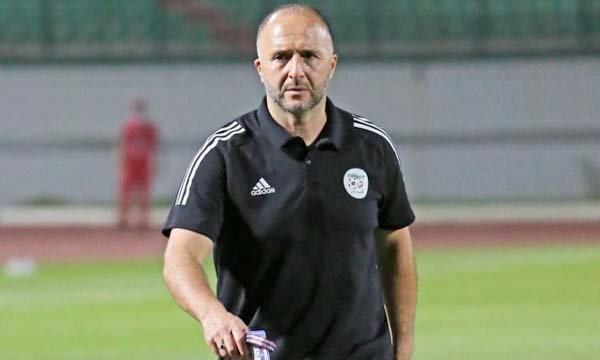 Algérie : Le successeur de Belmadi connu le 15 février