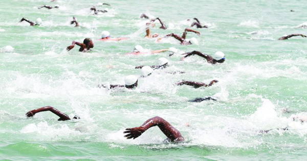 Natation : Point de presse de la Fédé