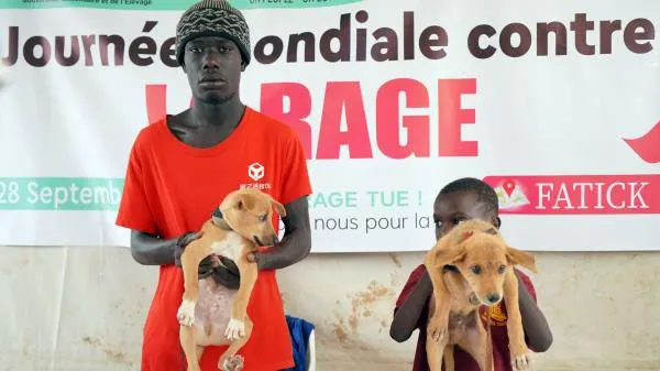 Journée mondiale de lutte contre la rage à Dagana : Neuf décès enregistrés au Sénégal, les autorités renforcent la riposte