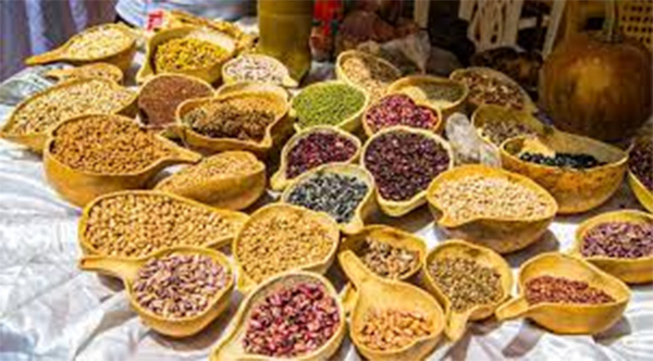 Gouvernance foncière et souveraineté alimentaire : un défi vital pour l’avenir du Sénégal