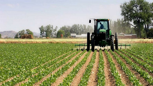 Plaidoirie pour un nouveau modèle agricole au Sénégal